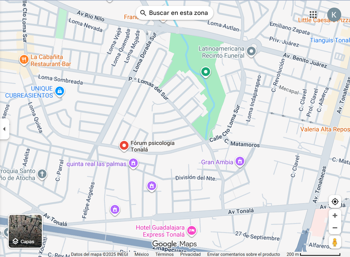 Inicio Captura De Pantalla 2025 12 14 184702
